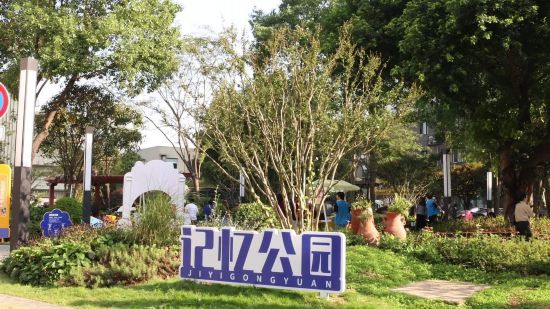 溫州瑞安市首個老年人認知癥記憶公園開園。瑞安市委宣傳部供圖